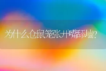 为什么仓鼠笼张开嘴舔墙？