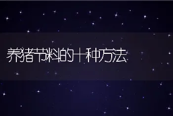 甲鱼越冬后期死亡原因及预防