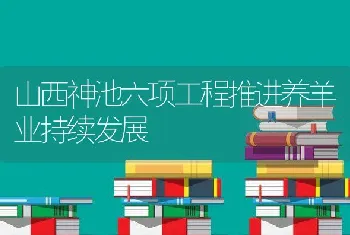 山西神池六项工程推进养羊业持续发展