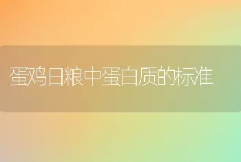 獭兔便秘的诊断