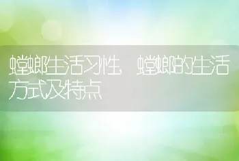 螳螂生活习性，螳螂的生活方式及特点