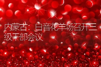 内蒙古：白音花羊场召开三级干部会议