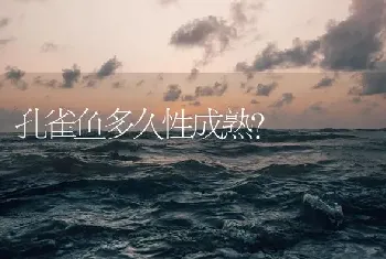 孔雀鱼多久性成熟？