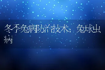 如何防治兔球虫病