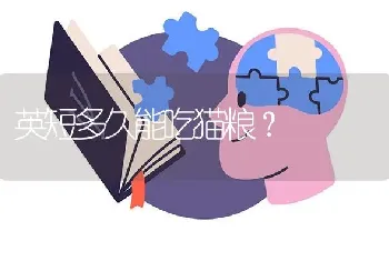 英短多久能吃猫粮？