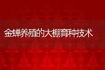 金蝉养殖的大棚育种技术