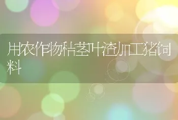 用农作物秸茎叶渣加工猪饲料