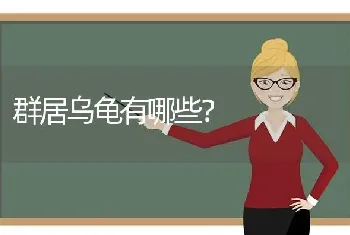 刚生的小泰迪成活率是多少？