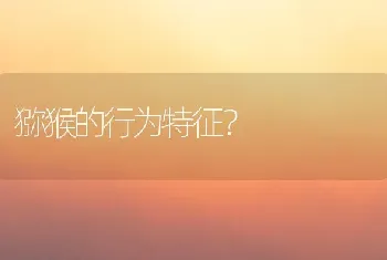 金毛干咳，该吃什么药？