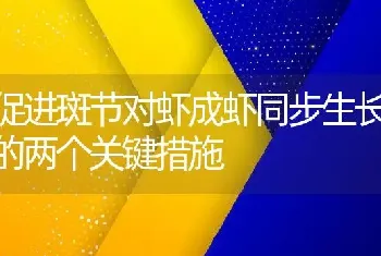 促进斑节对虾成虾同步生长的两个关键措施