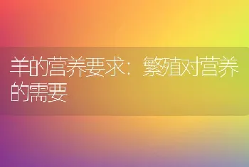 羊的营养要求：繁殖对营养的需要