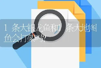 公鼠是不是比母鼠好养