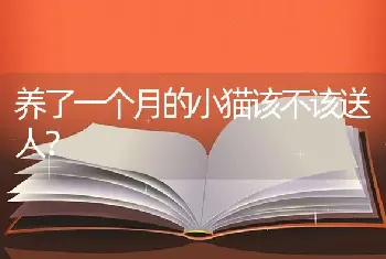 中国冠毛犬睡觉的时候是什么样子文字？