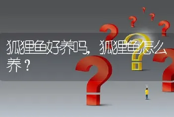 狐狸鱼好养吗，狐狸鱼怎么养？