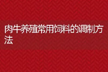 肉牛养殖常用饲料的调制方法