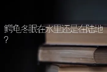 鳄龟冬眠在水里还是在陆地？