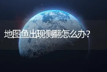 地图鱼出现侧翻怎么办？