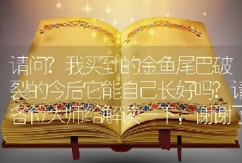 请问？我买到的金鱼尾巴破裂的今后它能自己长好吗？请各位大师给解读一下，谢谢了？