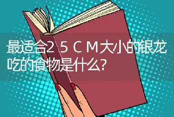 最适合25CM大小的银龙吃的食物是什么？