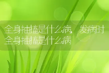 全身抽搐是什么病，发病时全身抽搐是什么病