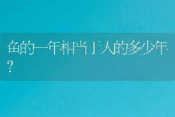 鱼的一年相当于人的多少年？