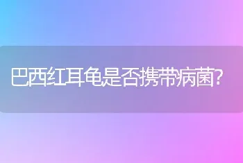 黄帽亚马逊鹦鹉多久成年？