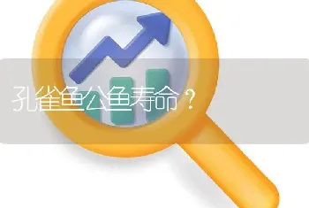 孔雀鱼公鱼寿命？