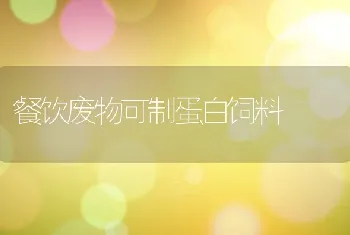 餐饮废物可制蛋白饲料