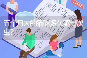 五个月大的猫咪多久驱一次虫？