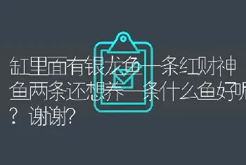 缸里面有银龙鱼一条红财神鱼两条还想养一条什么鱼好呢？谢谢？