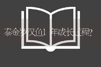 泰金罗汉鱼1年成长过程？