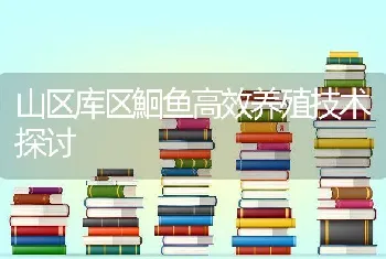 山区库区鮰鱼高效养殖技术探讨