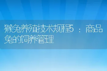 獭兔养殖技术规程5：商品兔的饲养管理