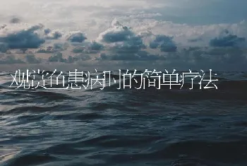 观赏鱼患病时的简单疗法