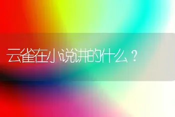 云雀在小说讲的什么？