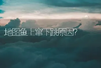 地图鱼上窜下跳原因？