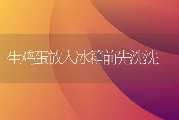 生鸡蛋放入冰箱前先洗洗