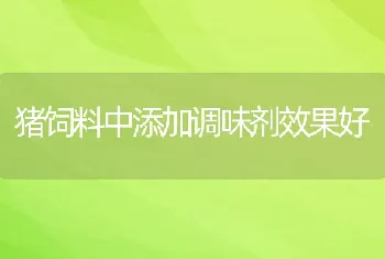 猪饲料中添加调味剂效果好