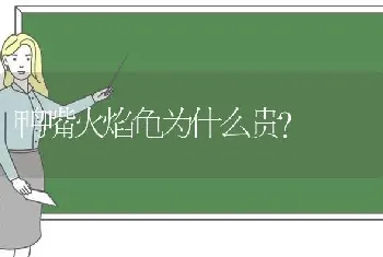 细小的狗狗痊愈时什么症状？