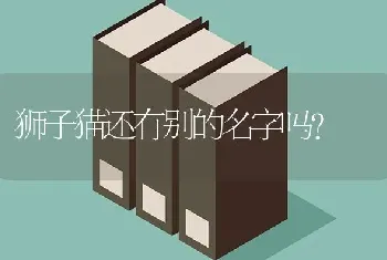 狮子猫还有别的名字吗？