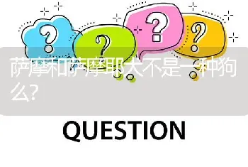 萨摩和萨摩耶犬不是一种狗么？