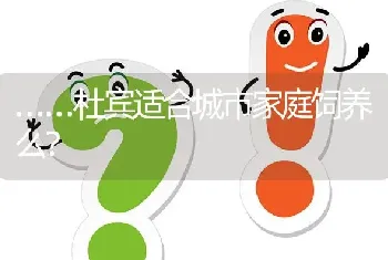 ……杜宾适合城市家庭饲养么？