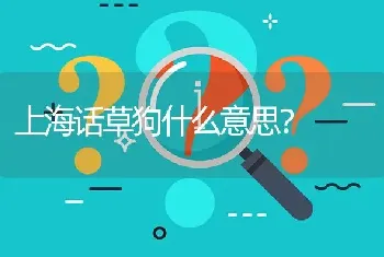 上海话草狗什么意思？