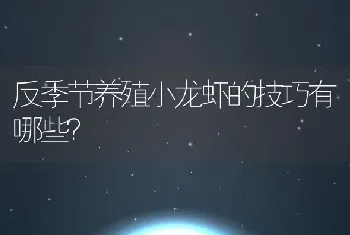 反季节养殖小龙虾的技巧有哪些？