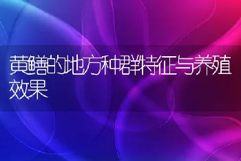 黄鳝的地方种群特征与养殖效果