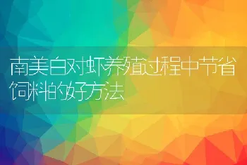 南美白对虾养殖过程中节省饲料的好方法