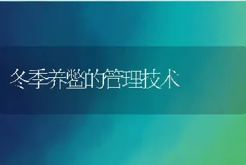 冬季养鳖的管理技术