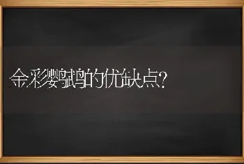 蓝猫一般隔多长时间生下一只？