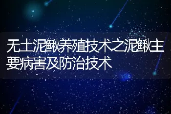 无土泥鳅养殖技术之泥鳅主要病害及防治技术