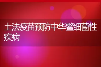 土法疫苗预防中华鳖细菌性疾病